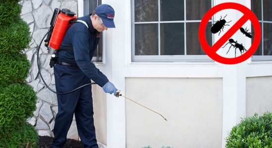 Feke Gümüşkurt İlaçlama böcek ilaçlama ve haşere kontrolü — ilaclama-tr.com